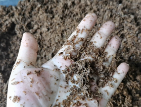 濃香型酒糟擠壓脫水，為您的生產(chǎn)提供解決方案！